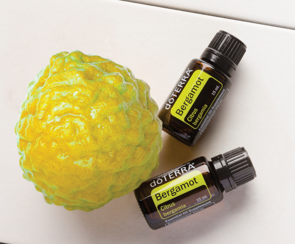 Why to use BERGAMOT essential oil?□ □Diffuse in the classroom, at work, or at home when stress is high □Add to your soap while showering and inhale deeply to experience its soothing aroma while enjoying its purifying skin benefits □Change regular tea to Earl Grey by adding in one to two drops □Apply to the feet before bedtime for a sense of calm and harmony □Add one to two drops to your next DIY skin care cleanser □Make your own perfume or cologne--mixes well with Lavender, Patchouli, Lime, and Arborvitae □Diffuse for a sense of self-confidence □Use with doTERRA Fractionated Coconut Oil for a calming and relaxing massage